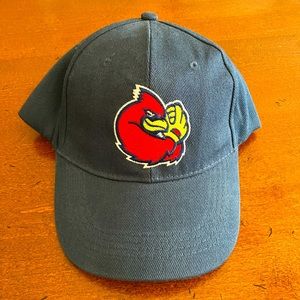 NWOT Memphis Redbirds Baseball Hat, adjustable